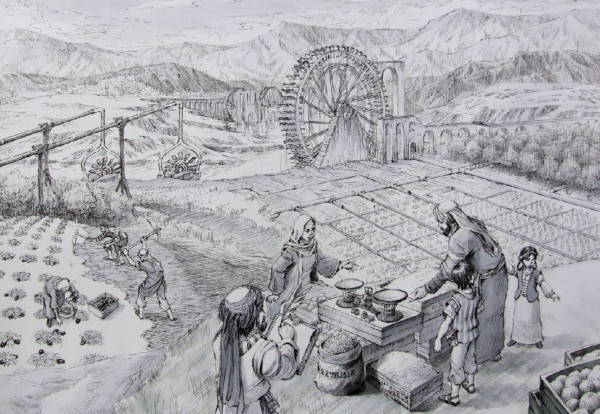 Category Sample Image