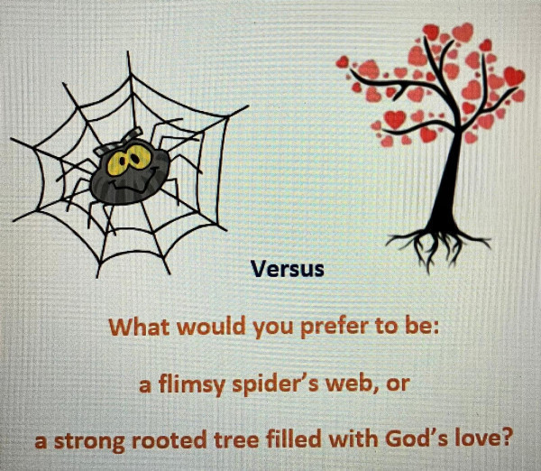 Category Sample Image