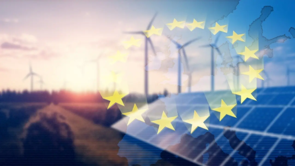 Category Sample Image