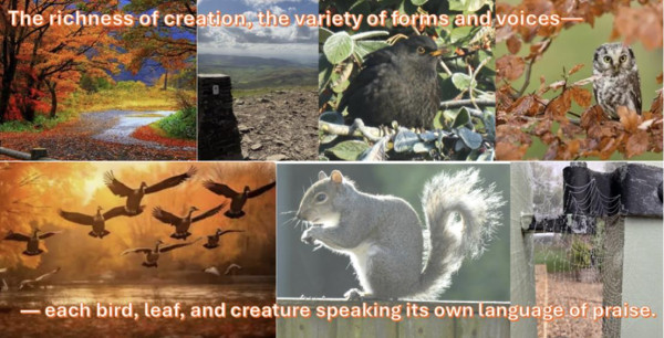 Category Sample Image