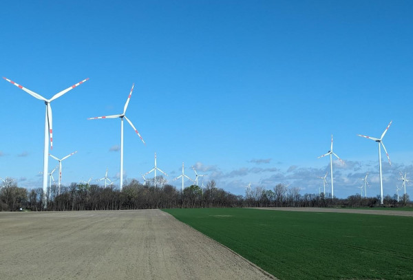 Category Sample Image