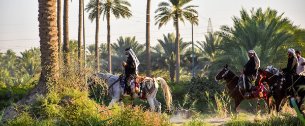 Category Sample Image