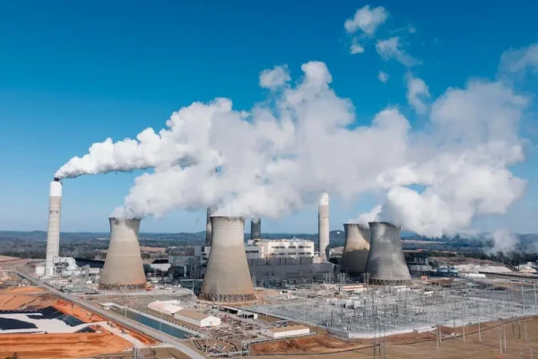 Category Sample Image