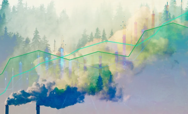 Category Sample Image