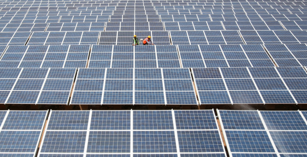 Category Sample Image