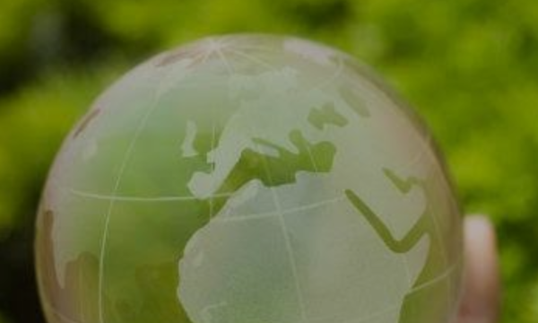 Category Sample Image