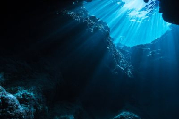 Category Sample Image