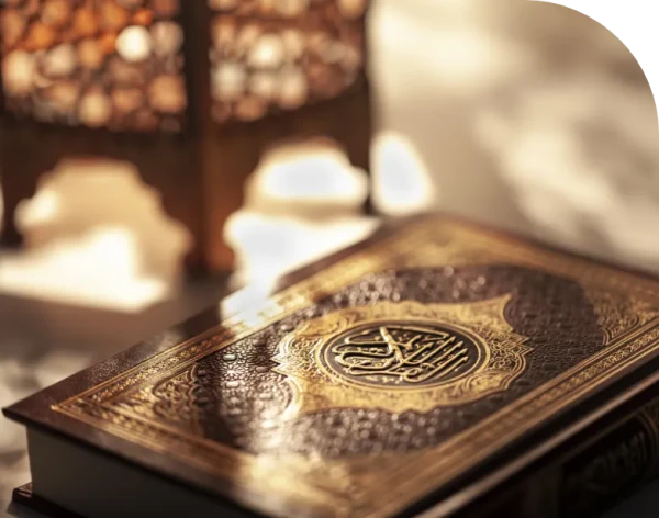 Category Sample Image