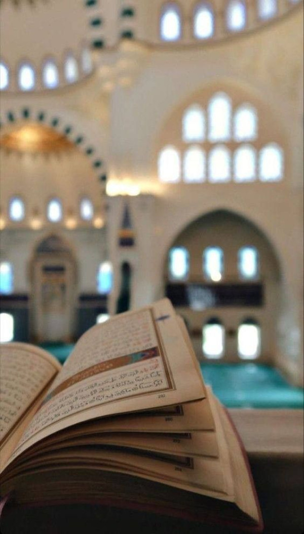 Category Sample Image