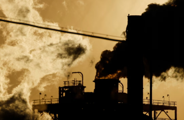 Category Sample Image