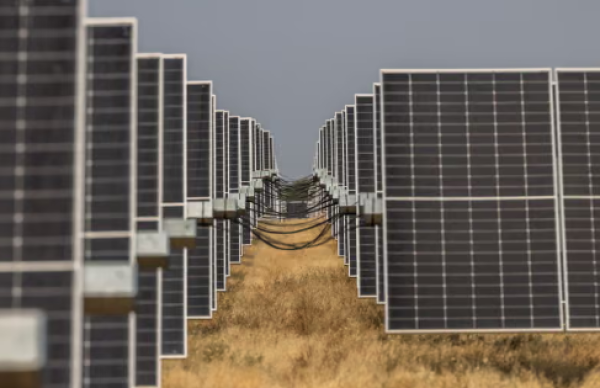 Category Sample Image