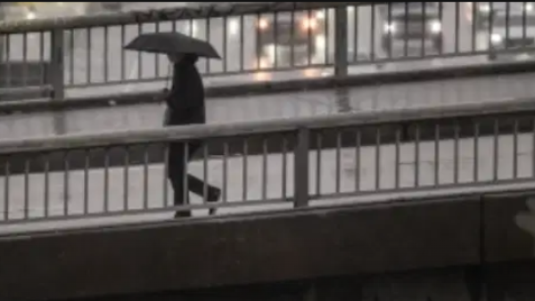 Category Sample Image