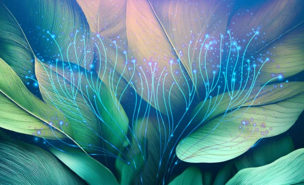 Category Sample Image