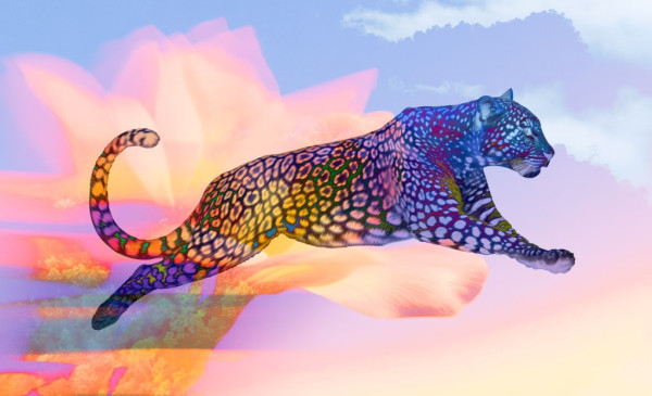 Category Sample Image