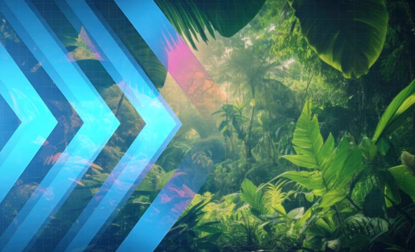 Category Sample Image