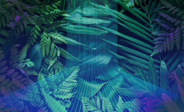 Category Sample Image