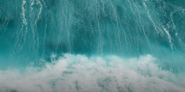 Category Sample Image