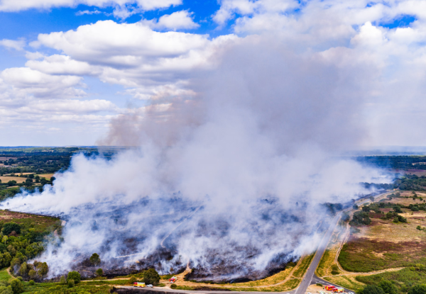 Category Sample Image