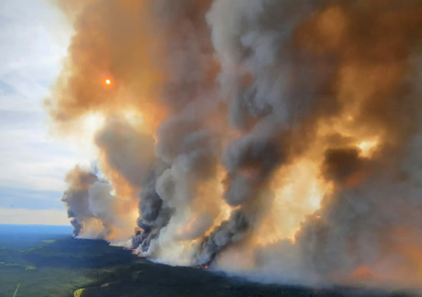 Category Sample Image