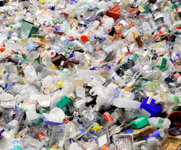 Category Sample Image