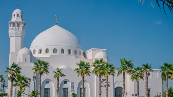 Category Sample Image