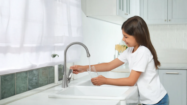 Category Sample Image