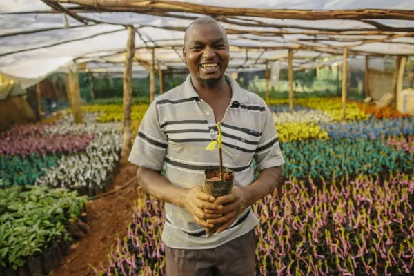 Category Sample Image