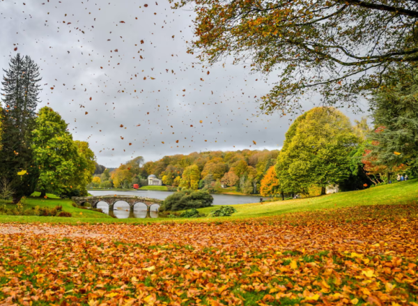 Category Sample Image