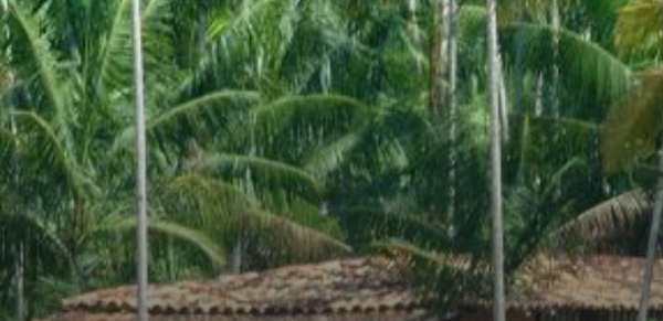 Category Sample Image