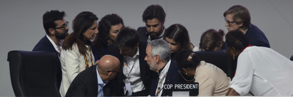 Category Sample Image