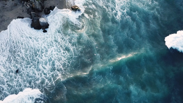 Category Sample Image