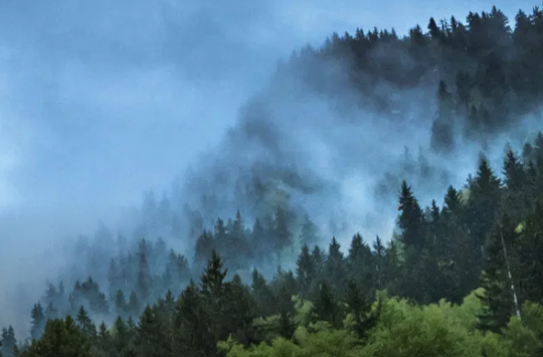 Category Sample Image