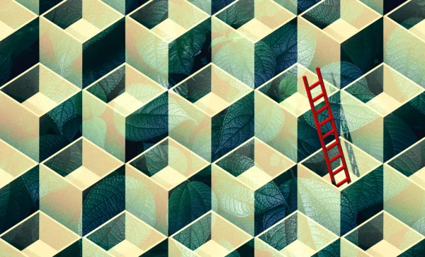 Category Sample Image