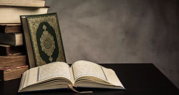 Category Sample Image