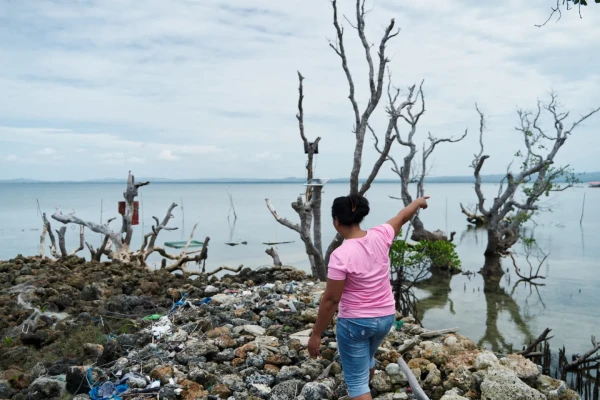 Category Sample Image