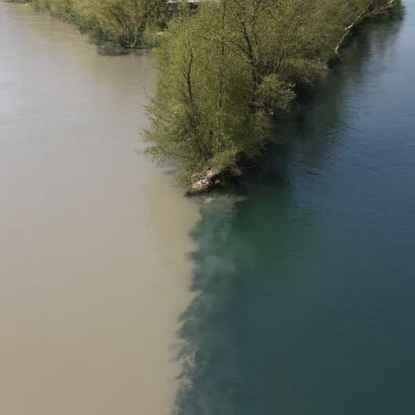 Category Sample Image