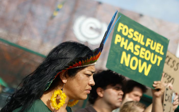 Category Sample Image