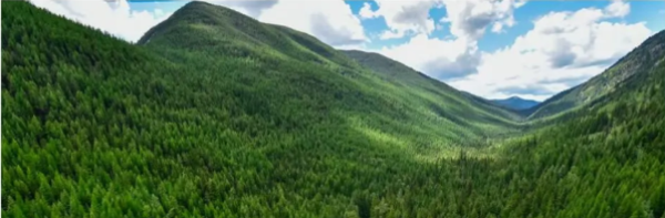 Category Sample Image