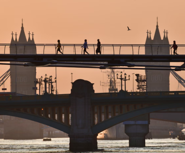 Category Sample Image