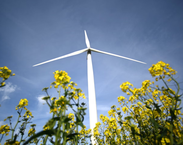 Category Sample Image