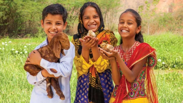 Category Sample Image