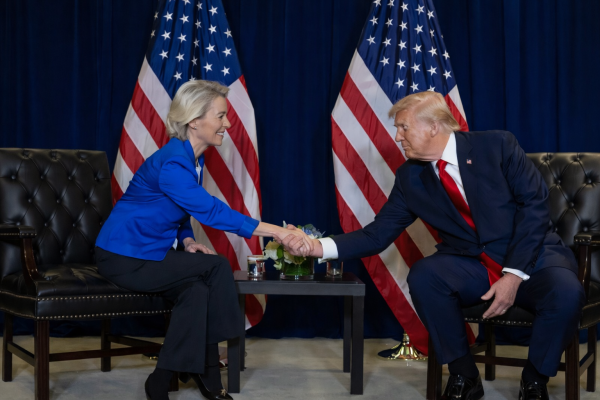 Category Sample Image