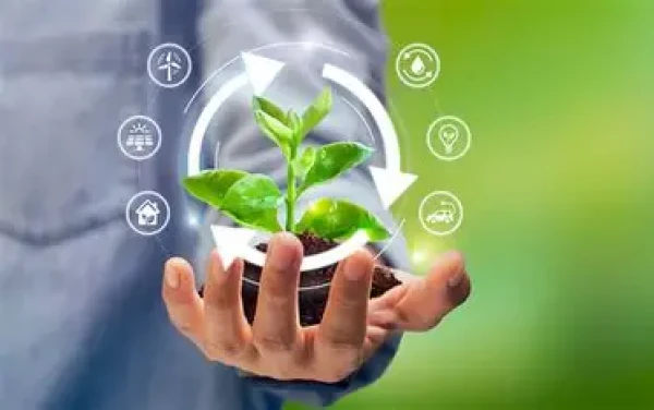 Category Sample Image