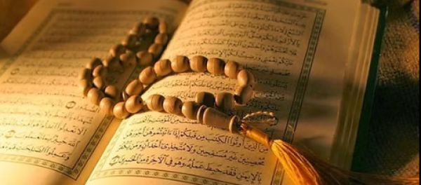 Category Sample Image