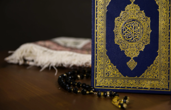 Category Sample Image