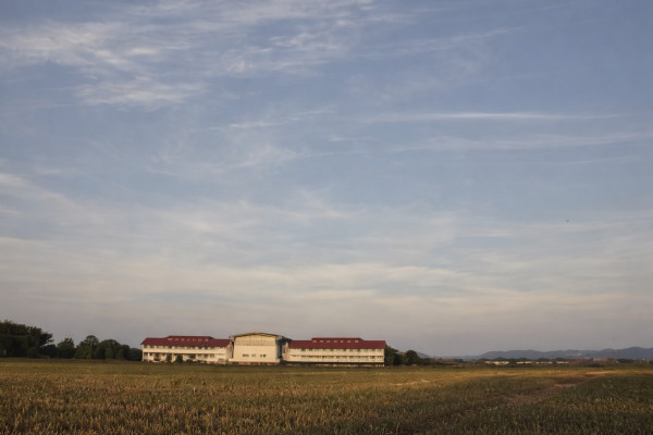 Category Sample Image