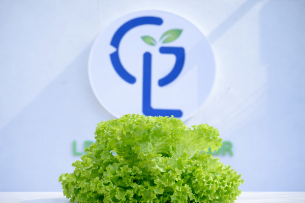 Category Sample Image