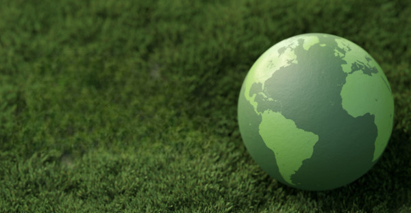 Category Sample Image