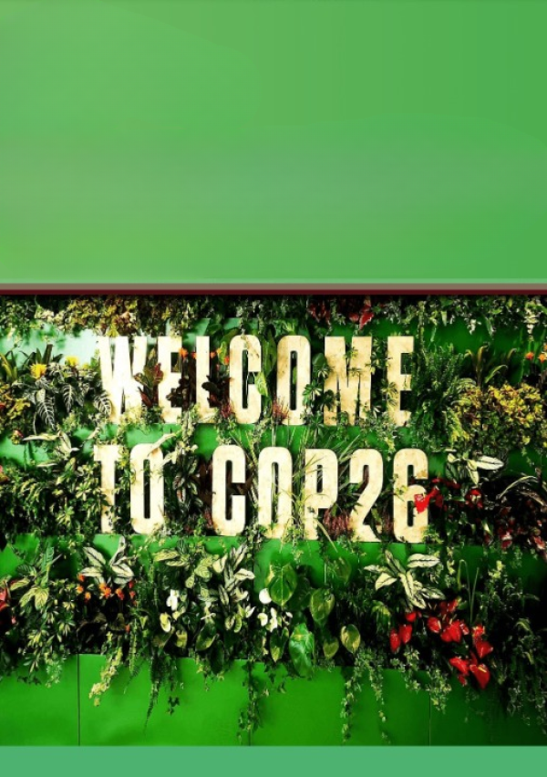 Category Sample Image