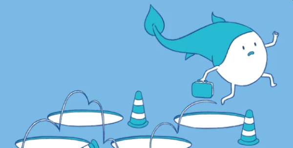 Category Sample Image